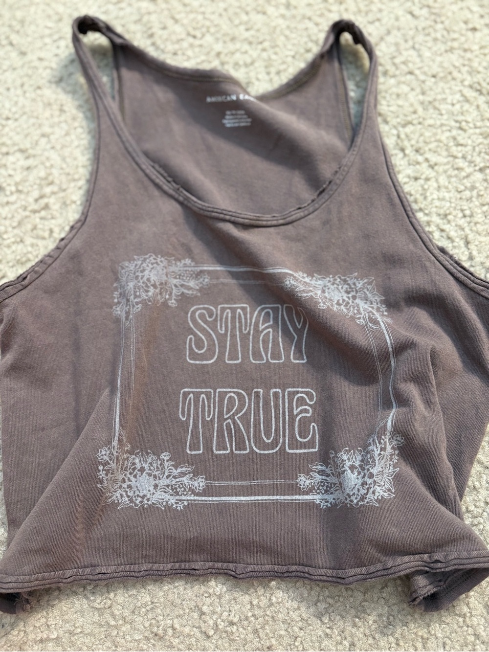 American Eagle Outfitters Brown Graphic Crop Tank - Stay True Print